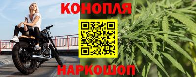 стаф Бузулук